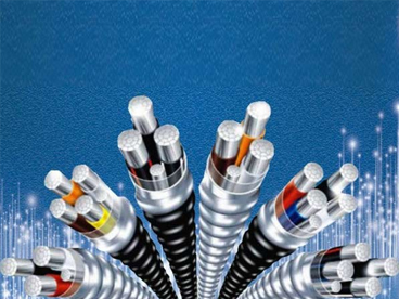 【前景】未來(lái)5年中國(guó)電線電纜市場(chǎng)將年增8-9%